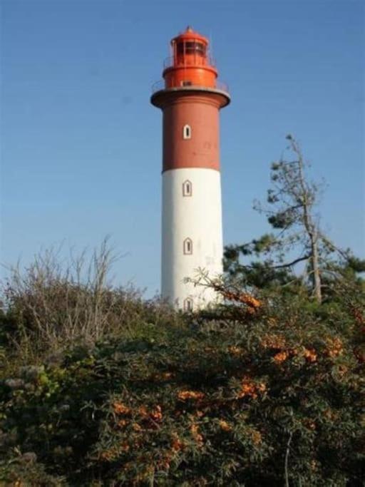 La Baigneuse Maison Avec Jardinet Et Parking Prive, A 200 M Plage Cayeux-sur-Mer Zewnętrze zdjęcie